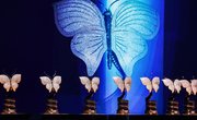 Костромские ювелиры изготовят 12 статуэток для кинопремии «Бриллиантовая бабочка»