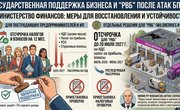 Правительство РФ окажет поддержку предпринимателям, пострадавшим от атак БПЛА на склады Wildberries