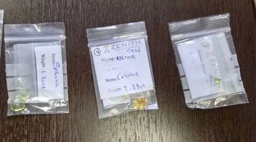 В Петербурге пресекли контрабанду камней из Шри-Ланки на 3,4 млн рублей