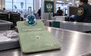 В Домодедово у пассажирки из Мюнхена обнаружили кольцо Van Cleef & Arpels стоимостью 37 млн рублей